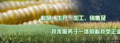 吉林省天*固種業(yè)有限責任公司網站建設可視化建站作品欣賞