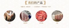 南充市太*食品有限公司企業(yè)網站建設營銷型案例作品