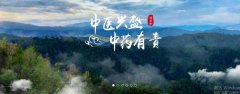 普洱淞*醫(yī)藥集團(tuán)有限公司網(wǎng)站建設(shè)新一代自助建站、智能建站系統(tǒng)