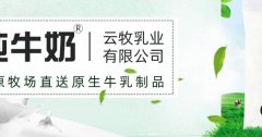 紅河云*乳業(yè)有限公司綠色系網(wǎng)站建設(shè)給你設(shè)計靈感